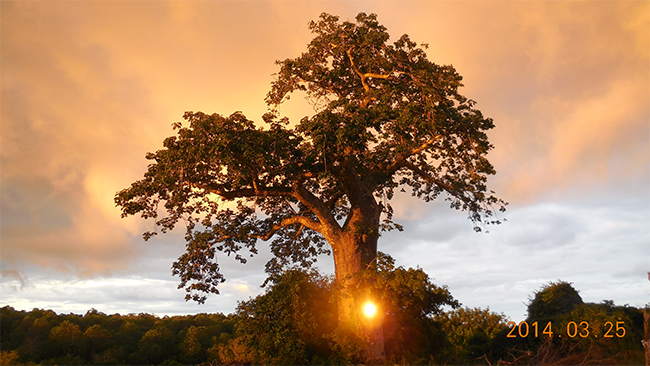 leyu��������ʩ����Ӱ��Ʒչ��һ��