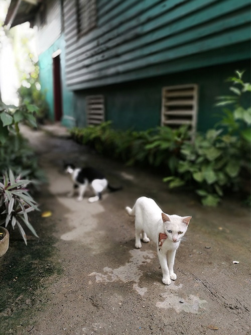 leyu��������ʩ����Ӱ��Ʒչ��һ��