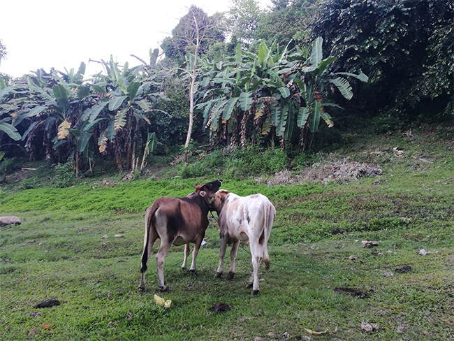 leyu��������ʩ����Ӱ��Ʒչ��һ��