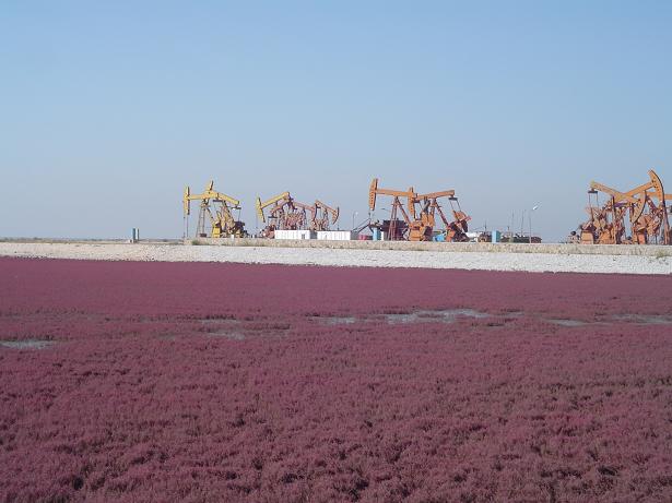 leyu��������ʩ����Ӱ��Ʒչ��һ��