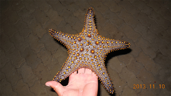 leyu��������ʩ����Ӱ��Ʒչ������