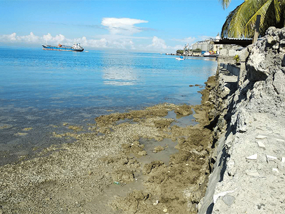 ���ɱ�Iligan 20MW [Net] Steam Turbine Genset Project����ȡ��ˮ���߹�����Ŀ������Ա����ʩ���ֳ�����׼������