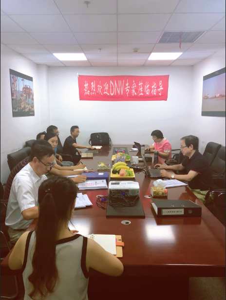 ���leyu���Ϲ������޹�˾ͨ��DNV���