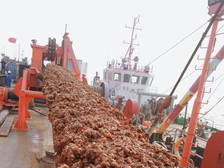 原渤西弃置海管高沙岭区海管回收项目顺利完工! 原渤西弃置海管高沙岭区海管回收项目顺利完工!