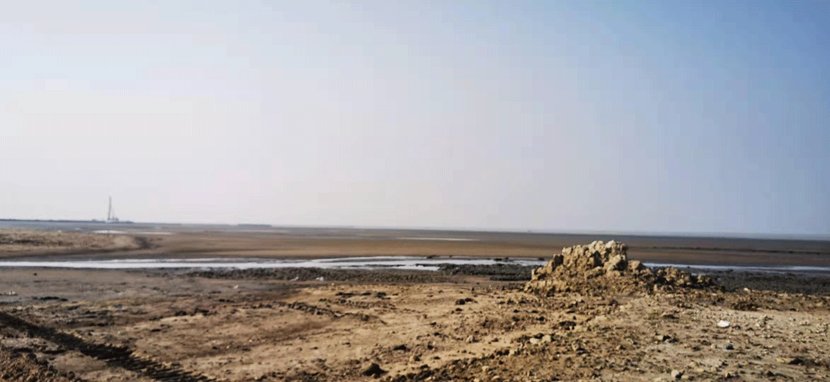 ��˾�쵼���ϼ������캣���г�