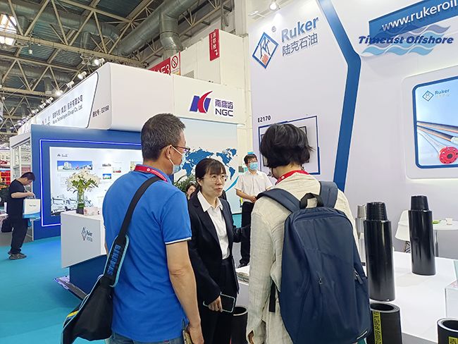 ��˾�ι۵ڶ�ʮ�����й�����ʯ��ʯ������װ��չ����